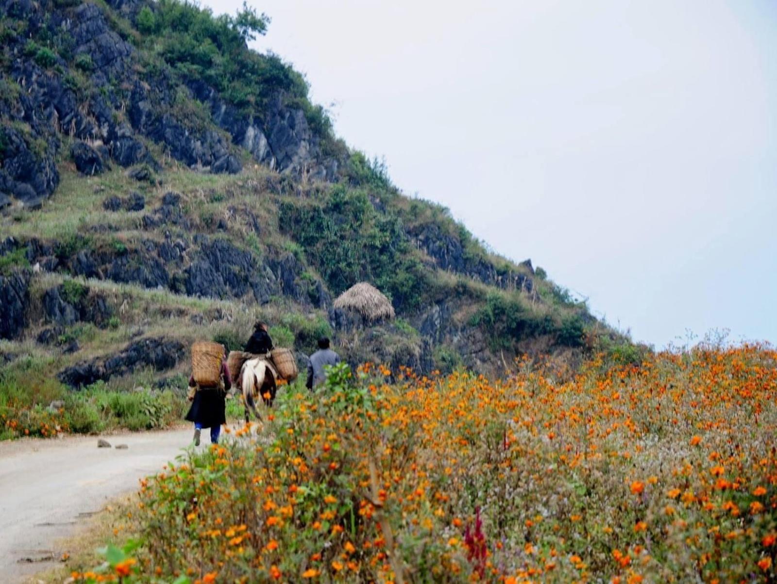 Hang Thuong Hostel - Motorbikes And Tour Ha Giang Exterior photo